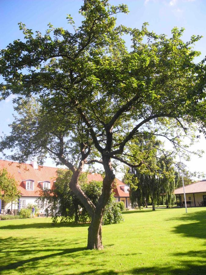 Inspiration Center Denmark, Bed & Breakfast Maribo Exterior photo